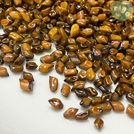 019결명자차 효능 효과적으로 마시는 방법 카페인 부작용