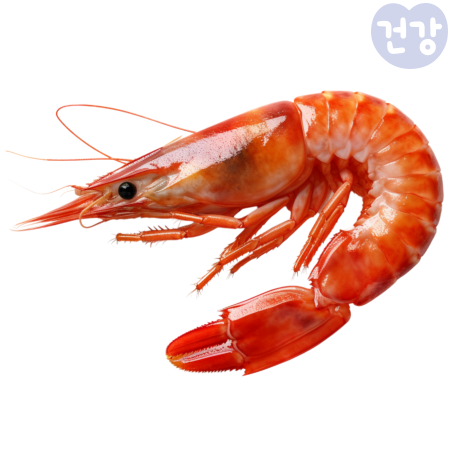 010새우 효능 손질법 보관법 부작용