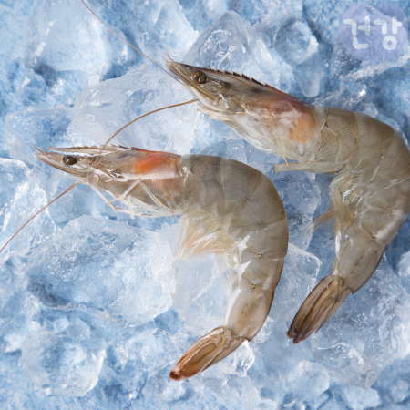 012새우 효능 손질법 보관법 부작용