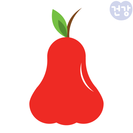 026로즈애플 효능 먹는법 보관법 부작용