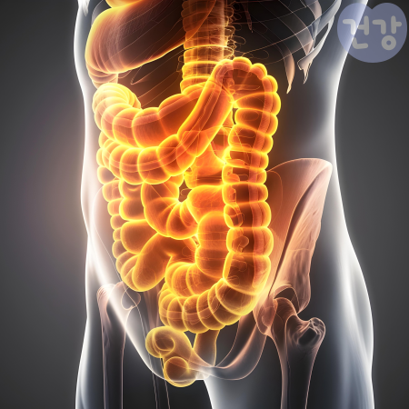 035테프 효능 다이어트 항산화 작용 효과 보관법 부작용